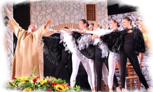 Gallery_GS_35